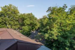 Продается объект Ониловой пер., Одесса, Одесская, Приморский фото 17 Продается объект Ониловой пер., Одесса, Одесская, Приморский фото 17