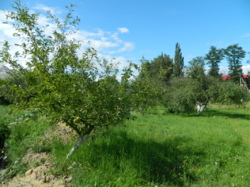 ������ ��������� ���� 51