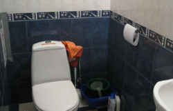 ��������� ������ �������, 55, �����������, �����������, ����� ���� 17