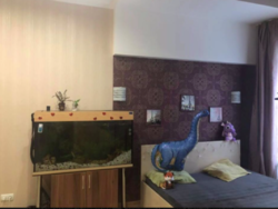 ���� -����� ����� ������� ���� 6