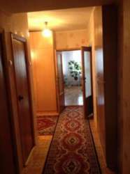 ��������� ������ �����������, �����������, �����, ������������ ���� 7