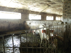 ������ ��������� ���� 45