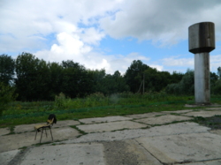 ������ ��������� ���� 31