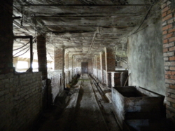 ������ ��������� ���� 44