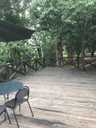 ��������� ������ ��������, �����������, �����������, ���-�������� ���� 1