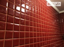 Продается объект Камянецька, Хмельницкий, Хмельницкая, Центр фото 8 Продается объект Камянецька, Хмельницкий, Хмельницкая, Центр фото 8