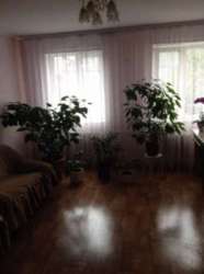 ��������� ������ �����������, �����������, �����, ������������ ���� 4