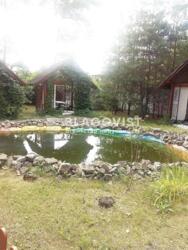 ��������� ��'��� �������, �����������, ϳ������, ���������, 10 ���� 14