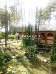 ��������� ��'��� �������, �����������, ϳ������, ���������, 10 ���� 10