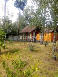 ��������� ��'��� �������, �����������, ϳ������, ���������, 10 ���� 15