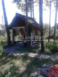 ��������� ��'��� �������, �����������, ϳ������, ���������, 10 ���� 17