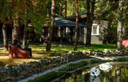 ��������� ��'��� �������, �������������, ����������� ���� 1