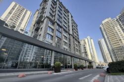 ��������� ��'��� ����� ���������� ���. (������� ����������), 17, ���, ����������, �. ���������� ���� 1