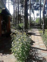 ��������� ��'��� �������, �����������, ϳ������, ���������, 10 ���� 19