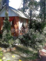 ��������� ��'��� �������, �����������, ϳ������, ���������, 10 ���� 16