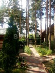 ��������� ��'��� �������, �����������, ϳ������, ���������, 10 ���� 11