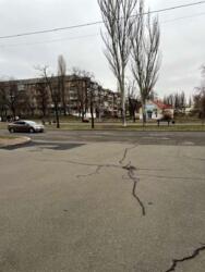 ��������� ��'��� �������� ���� �����., 21�, ���, ������������, �������, �. ������� ���� 8