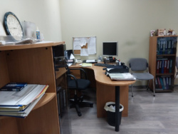 � ������� ������-��������� � ����������� ���� 11