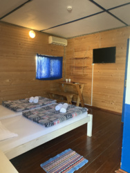 ������� ������������� ��������� ���� 11