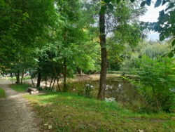 МАФ - продуктовий кіоск фото 6 МАФ - продуктовий кіоск фото 6