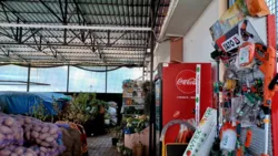 ������� � � ������ ������������ ����������� ���� 18