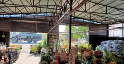 ������� � � ������ ������������ ����������� ���� 34