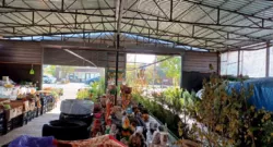 ������� � � ������ ������������ ����������� ���� 38