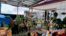 ������� � � ������ ������������ ����������� ���� 31