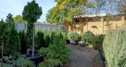 ������� � � ������ ������������ ����������� ���� 43