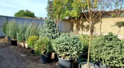 ������� � � ������ ������������ ����������� ���� 45