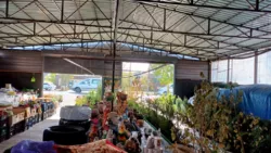 ������� � � ������ ������������ ����������� ���� 20