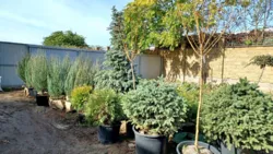 ������� � � ������ ������������ ����������� ���� 27