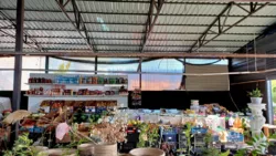 ������� � � ������ ������������ ����������� ���� 21