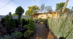 ������� � � ������ ������������ ����������� ���� 44