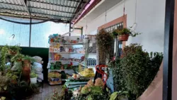 ������� � � ������ ������������ ����������� ���� 17