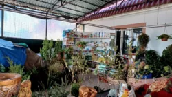 ������� � � ������ ������������ ����������� ���� 14