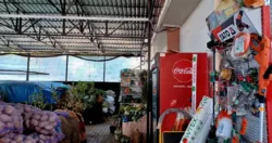 ������� � � ������ ������������ ����������� ���� 37