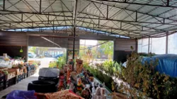 ������� � � ������ ������������ ����������� ���� 19