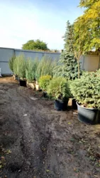 ������� � � ������ ������������ ����������� ���� 26