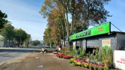 ������� � � ������ ������������ ����������� ���� 13