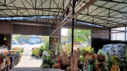 ������� � � ������ ������������ ����������� ���� 16