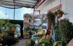 ������� � � ������ ������������ ����������� ���� 36