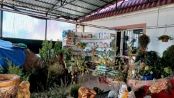 ������� � � ������ ������������ ����������� ���� 15