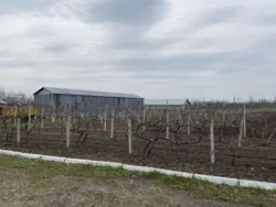 Пай біля Нової Лінії, фасад 100 метрів на Миколаївську трасу фото 1 Пай біля Нової Лінії, фасад 100 метрів на Миколаївську трасу фото 1