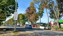 ������� � � ������ ������������ ����������� ���� 10