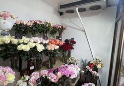 Продається готовий квітковий бізнес фото 5 Продається готовий квітковий бізнес фото 5