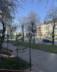 Продаж комерційного приміщення, площа 34 кв.м фото 3 Продаж комерційного приміщення, площа 34 кв.м фото 3