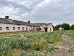 Продаж готової свиноферми фото 1 Продаж готової свиноферми фото 1