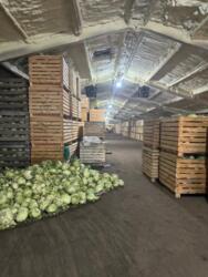 Продаж діючого фермерського комплексу 23,7 га в с. Красне, Білоцерківський район фото 12 Продаж діючого фермерського комплексу 23,7 га в с. Красне, Білоцерківський район фото 12