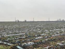 Продаж діючого фермерського комплексу 23,7 га в с. Красне, Білоцерківський район фото 17 Продаж діючого фермерського комплексу 23,7 га в с. Красне, Білоцерківський район фото 17